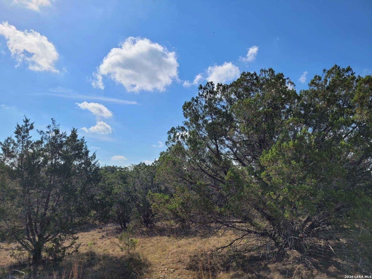 1.23 acres in Comal County - photo 5