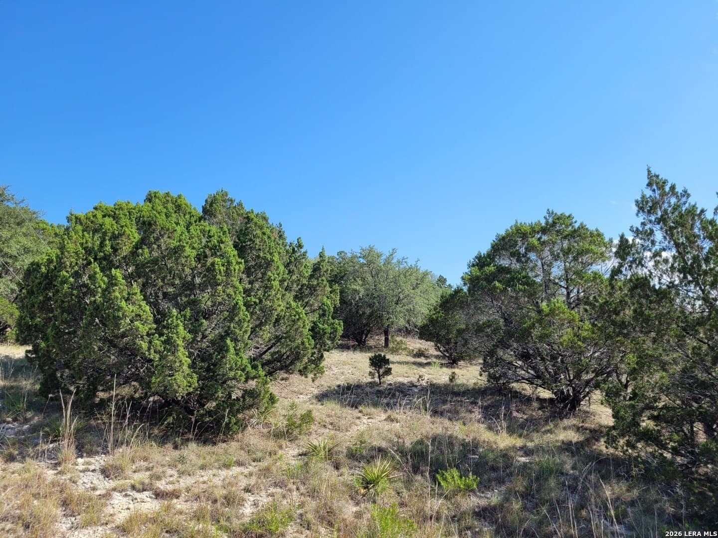 1.23 acres in Comal County - photo 6