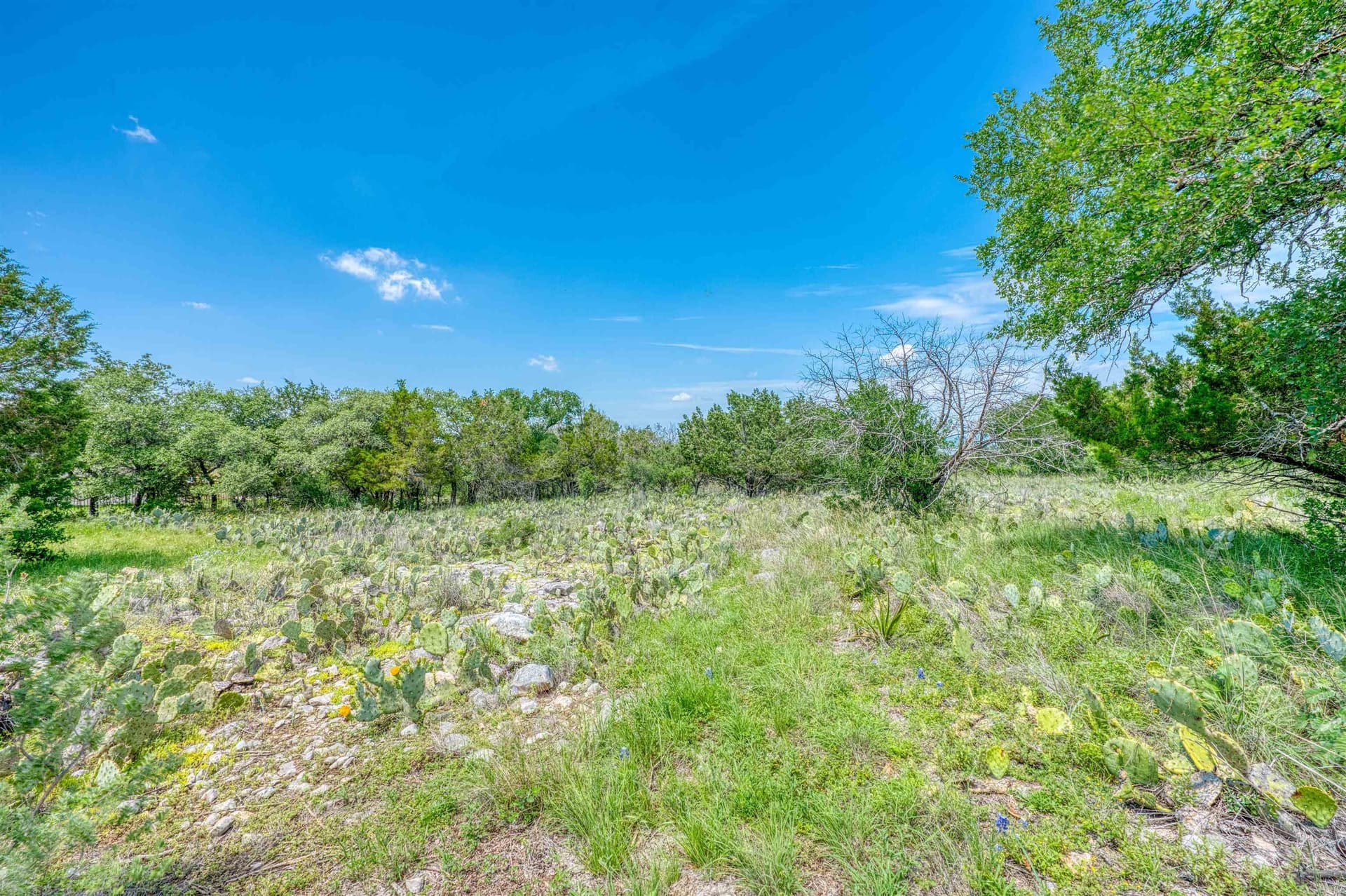 0.56 acres in Llano County featured view