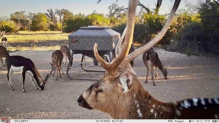 140 acres in Mills County gallery image 2