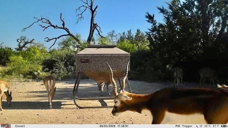 140 acres in Mills County featured view