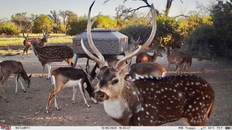 140 acres in Mills County