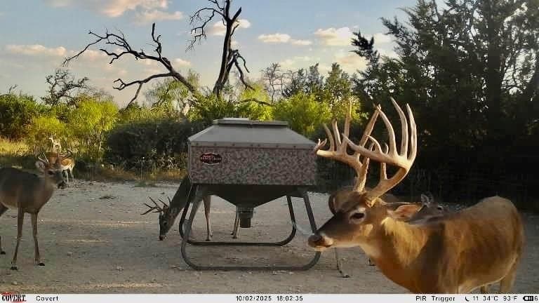 140 acres in Mills County gallery image 3