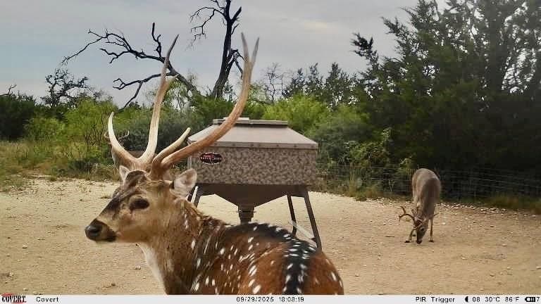 140 acres in Mills County gallery image 4