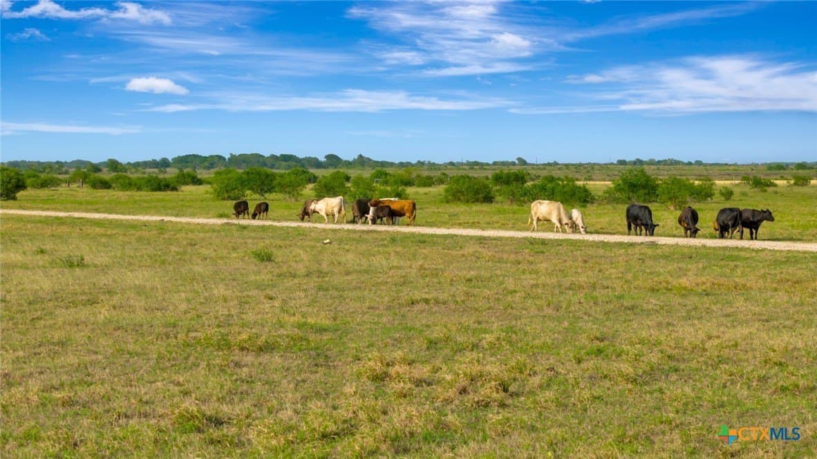 98.15 acres in Matagorda County - photo 27