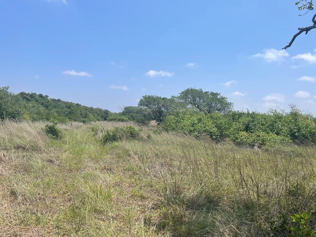 5.5 acres in Texas County gallery image 2