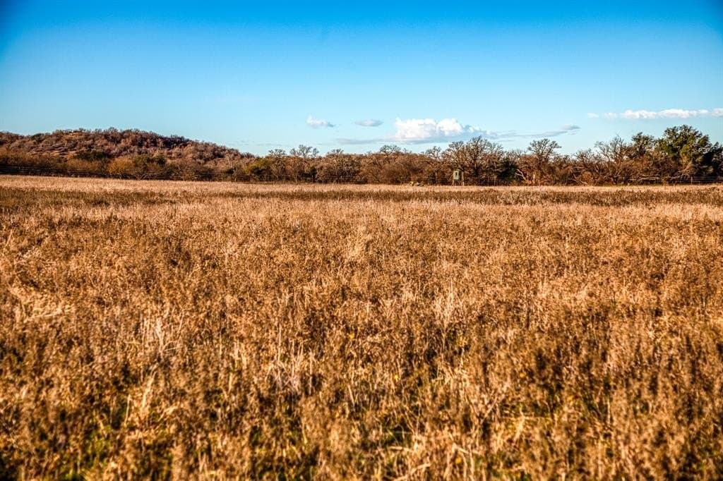 636 acres in Young County featured view