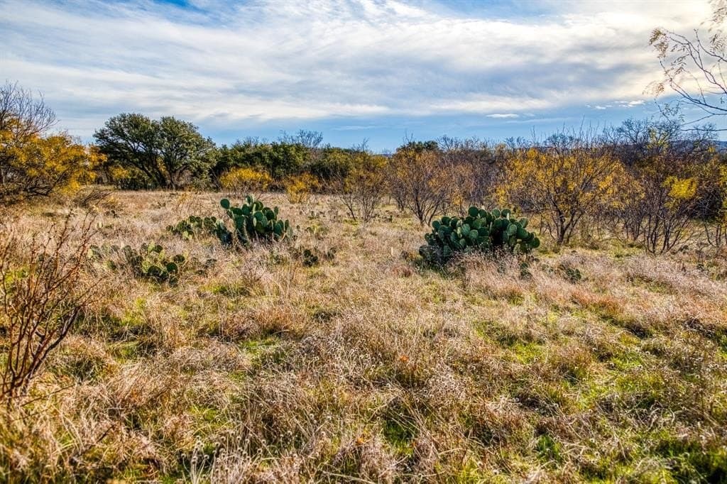 636 acres in Young County gallery image 4