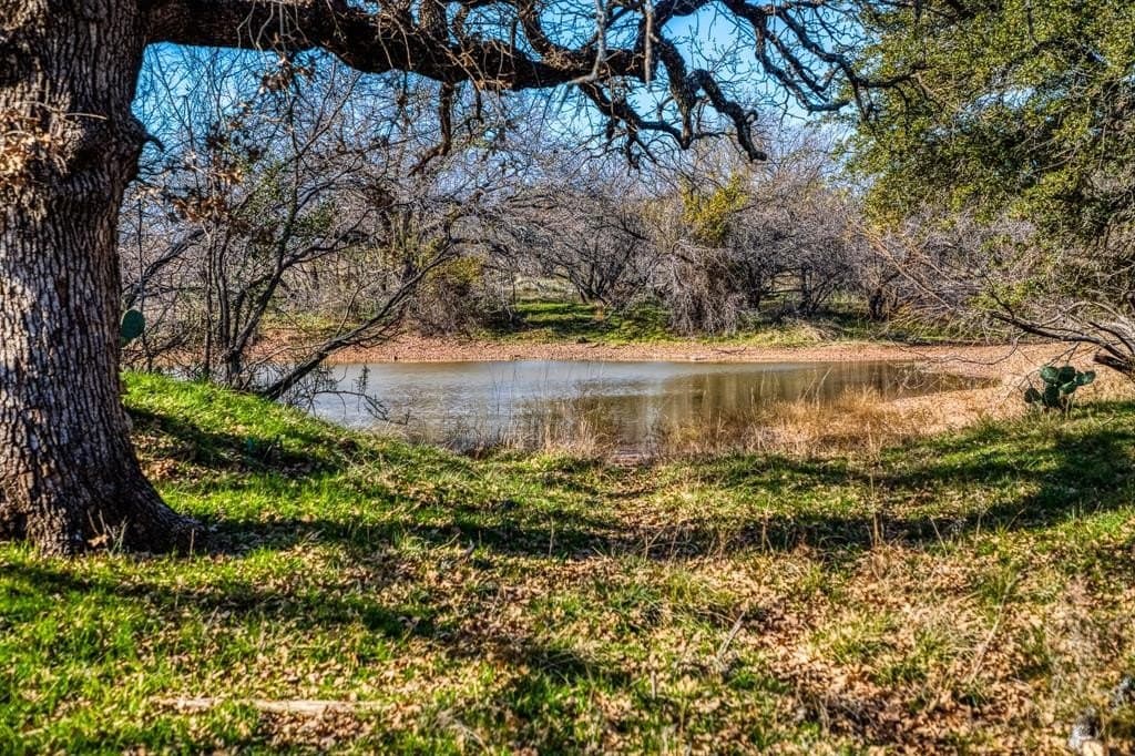 636 acres in Young County gallery image 2