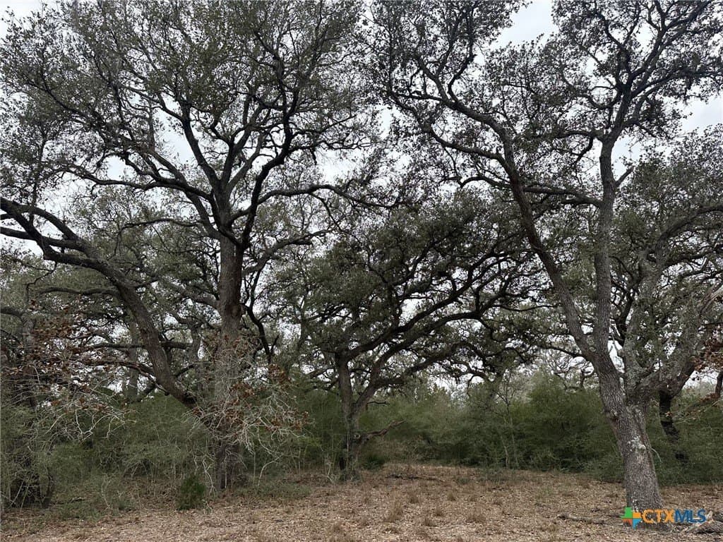 24.8 acres in Victoria County gallery image 3