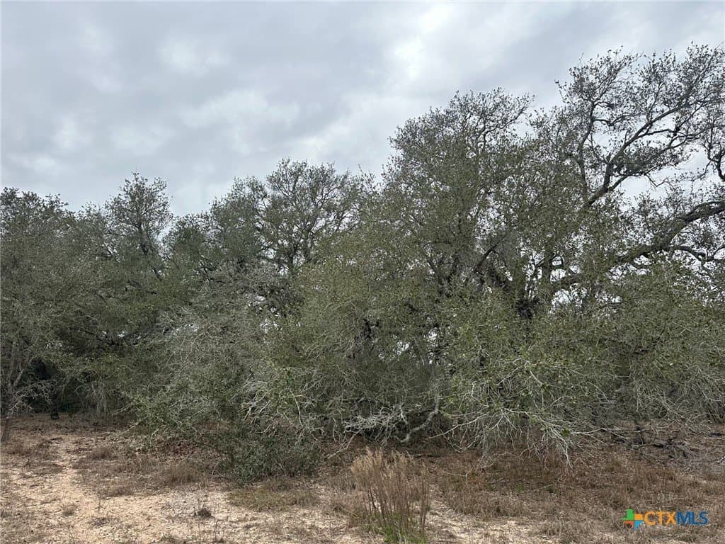 24.8 acres in Victoria County featured view