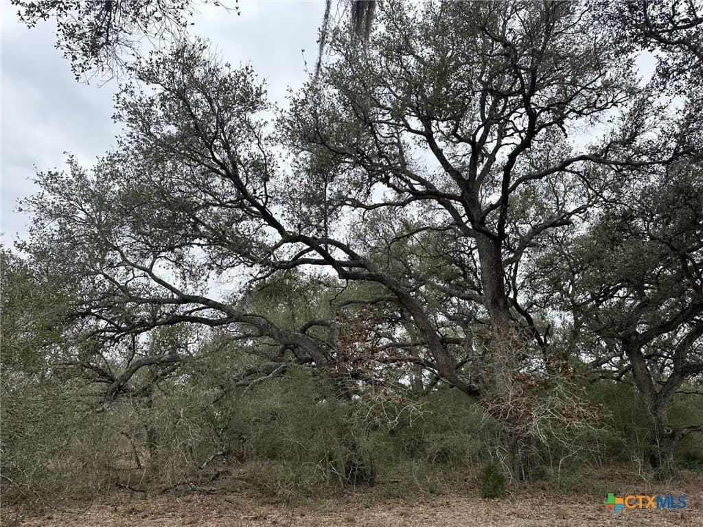 24.8 acres in Victoria County gallery image 4