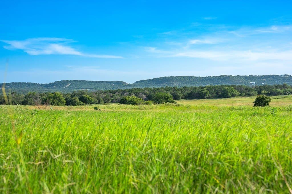 17.94 acres in Gillespie County - photo 8