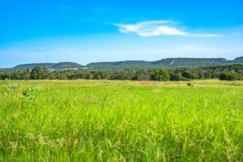 17.94 acres in Gillespie County - photo 9
