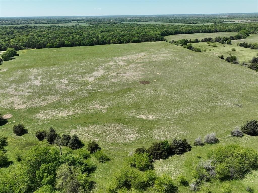 375.6 acres in Fannin County gallery image 4
