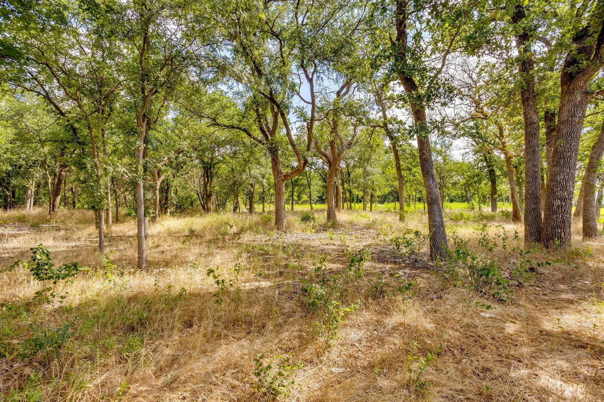 10.04 acres in Hood County - photo 40