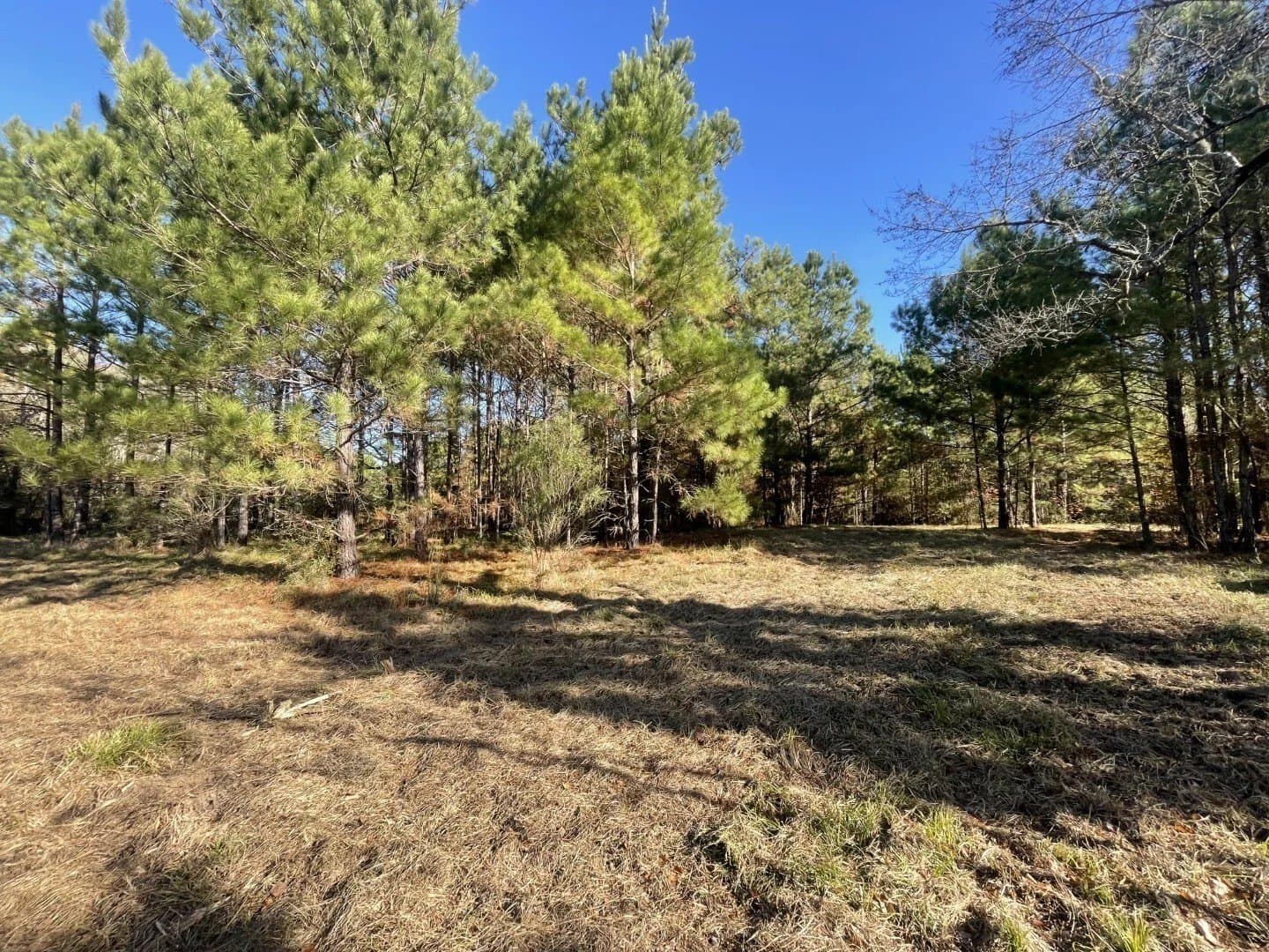 4.68 acres in Polk County - photo 18