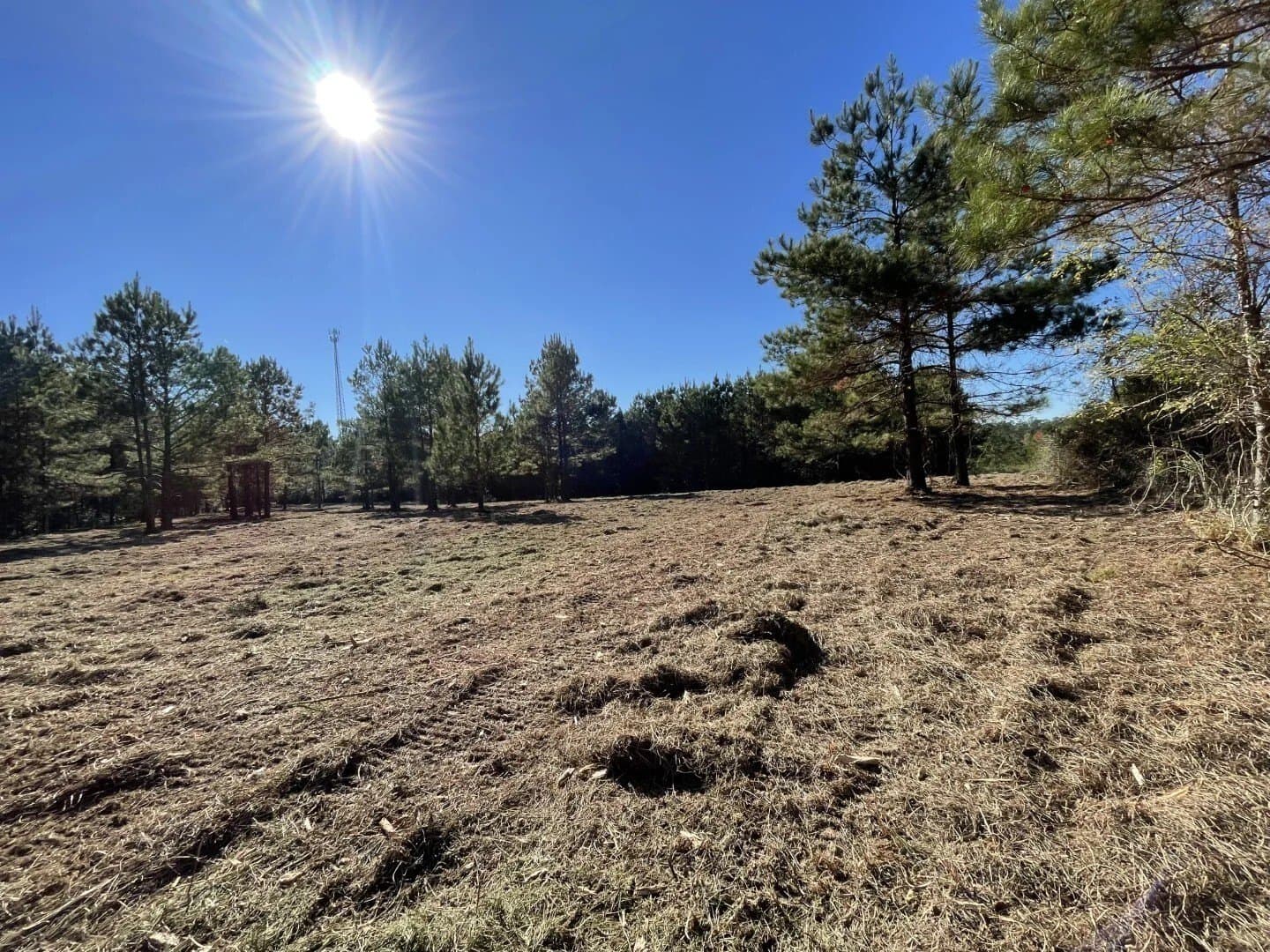 4.68 acres in Polk County - photo 11