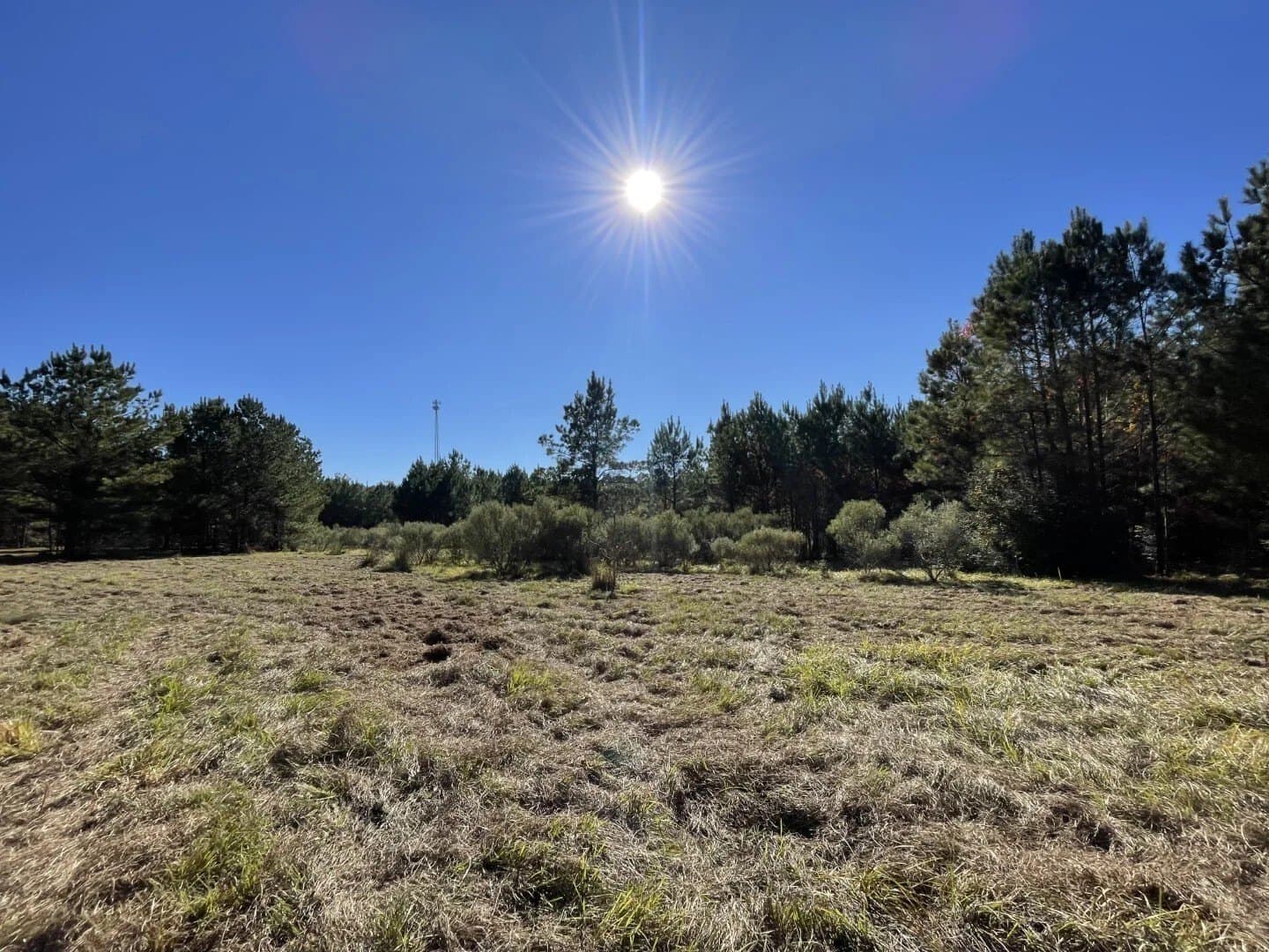 4.68 acres in Polk County - photo 10