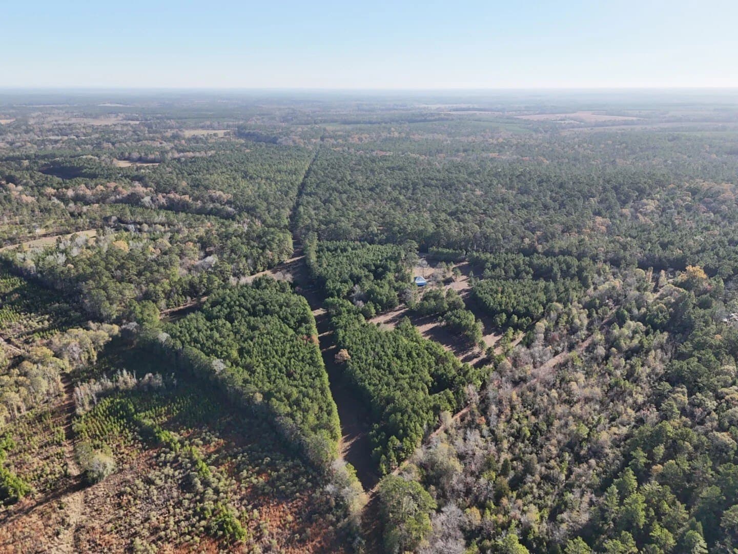4.68 acres in Polk County - photo 22