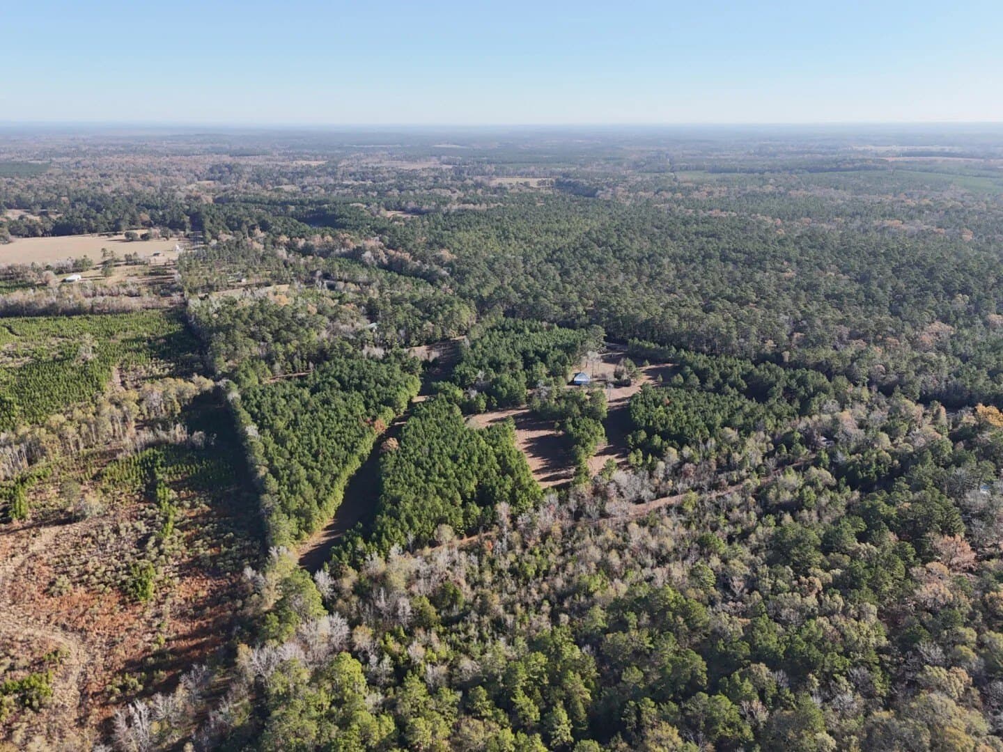 4.68 acres in Polk County - photo 25