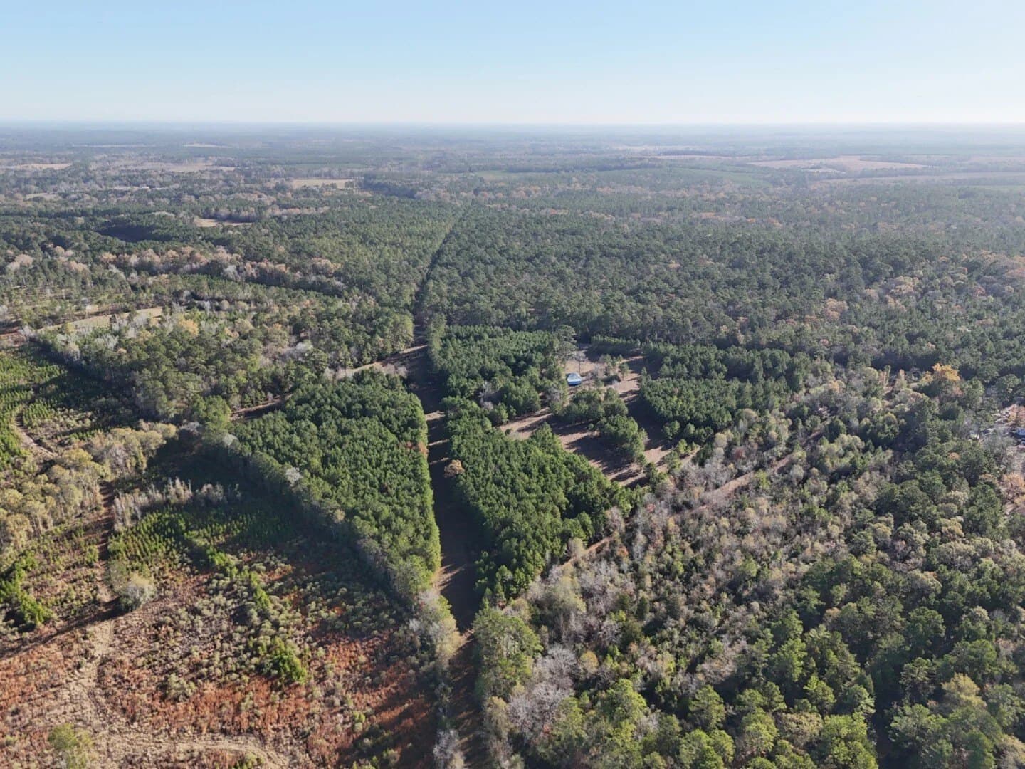 4.68 acres in Polk County - photo 23