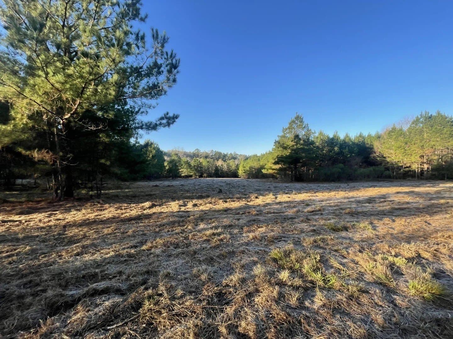 4.68 acres in Polk County - photo 15