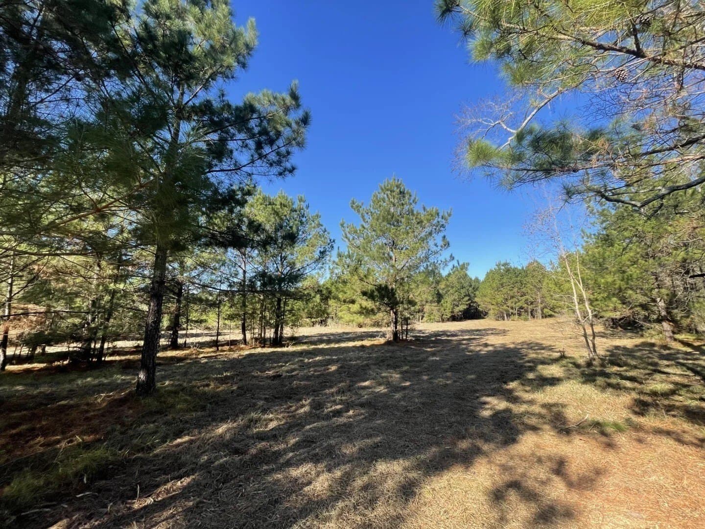 4.68 acres in Polk County - photo 17