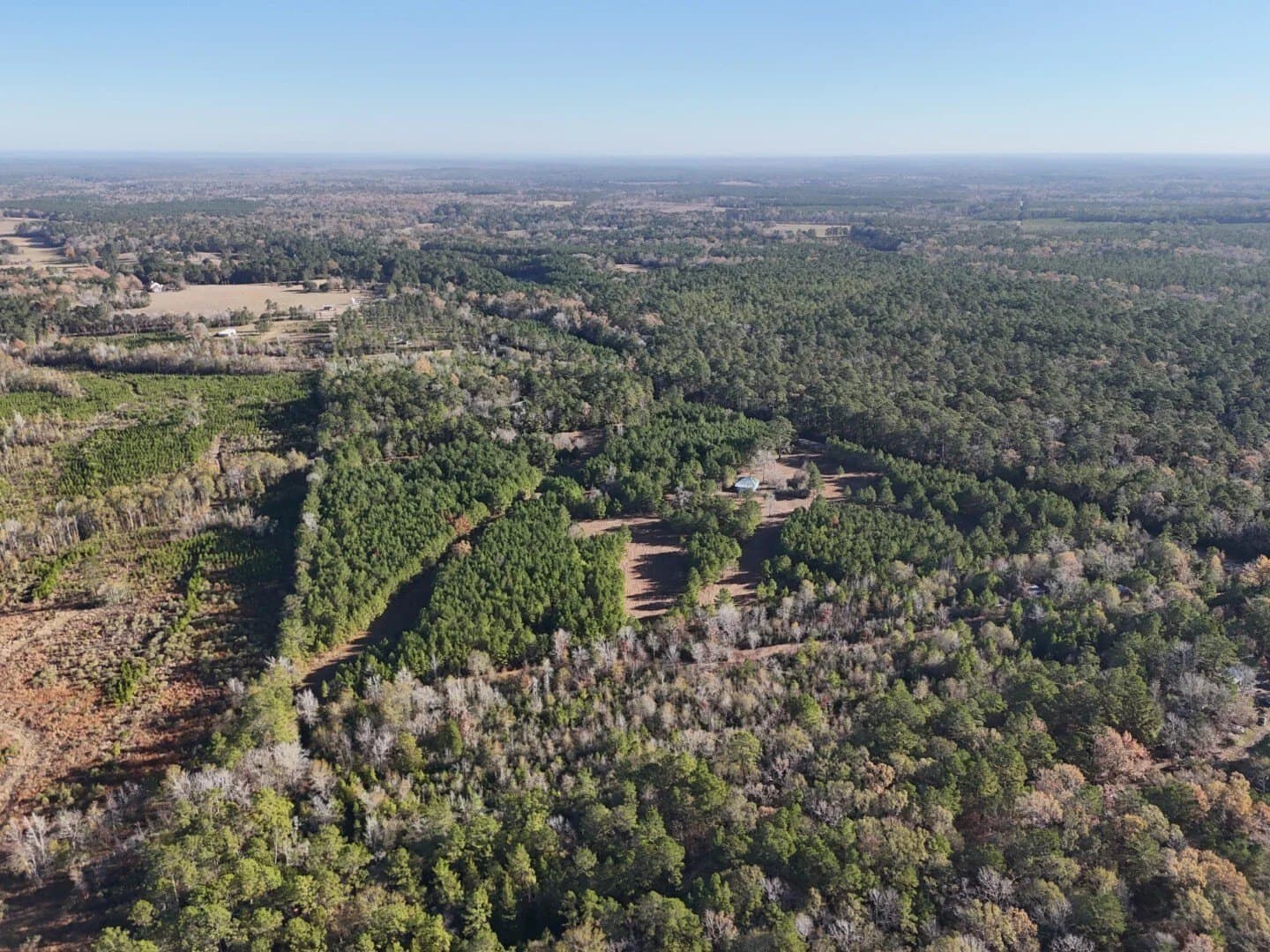 4.68 acres in Polk County - photo 26