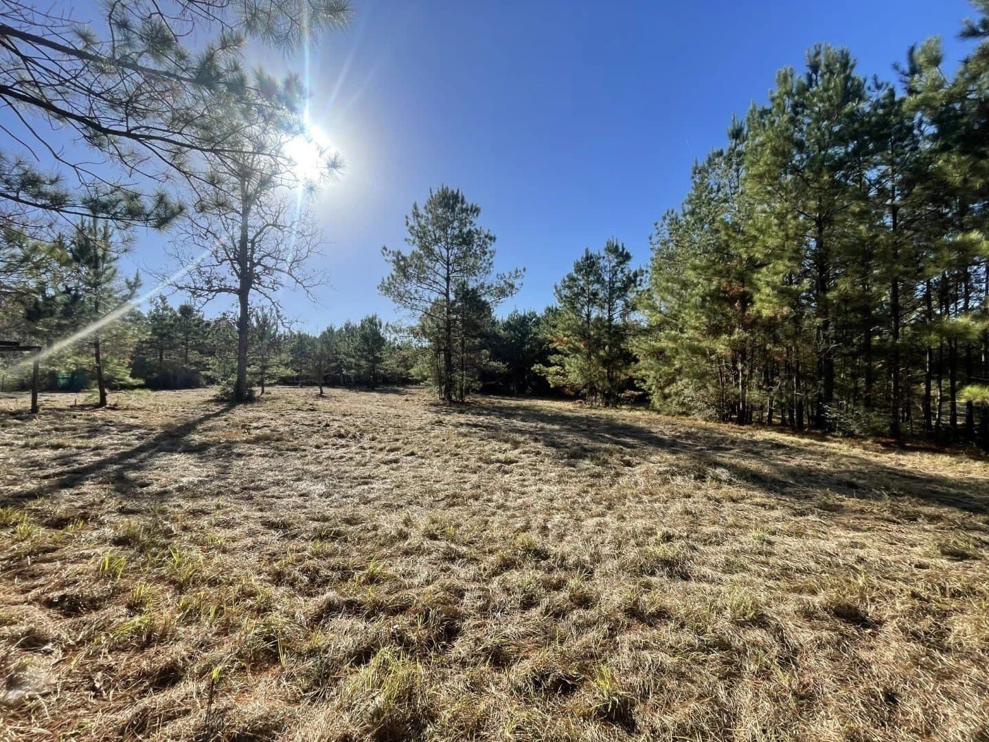 4.68 acres in Polk County - photo 12