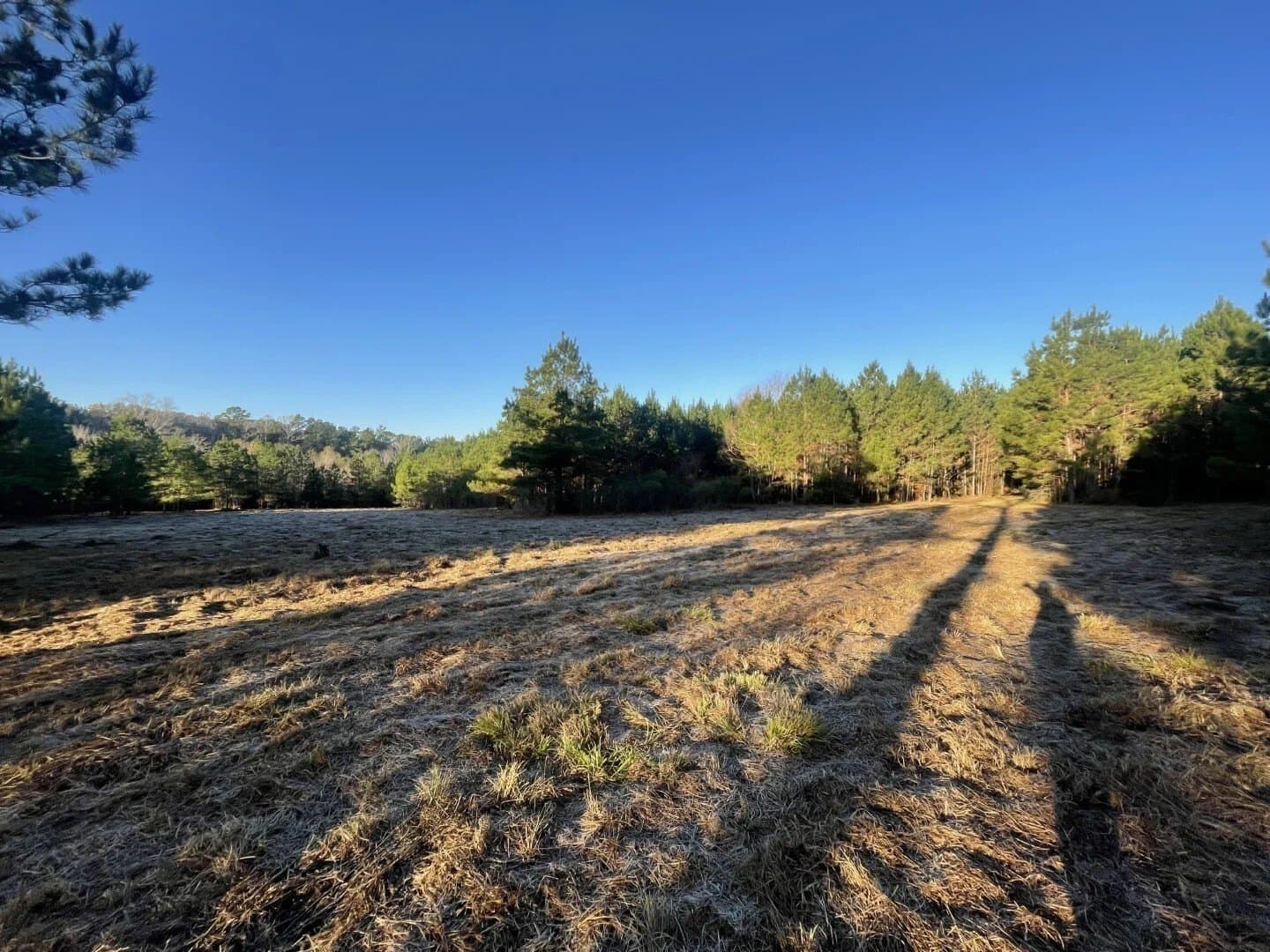 4.68 acres in Polk County - photo 16