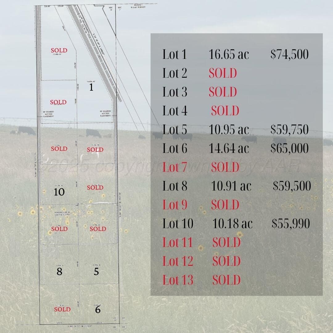 10.95 acres in Hartley County gallery image 2