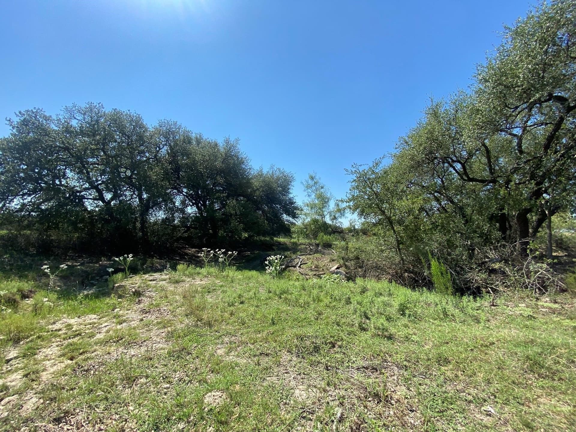 26 acres in Mills County