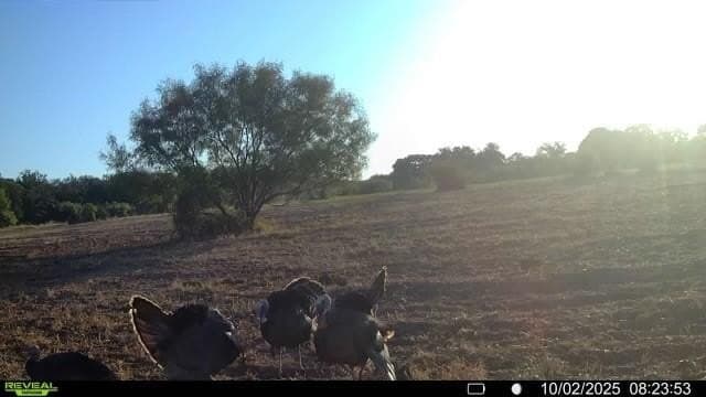 166.46 acres in Brown County featured view