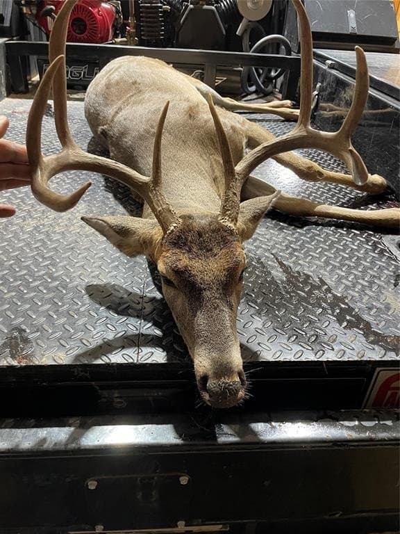 166.46 acres in Brown County gallery image 3