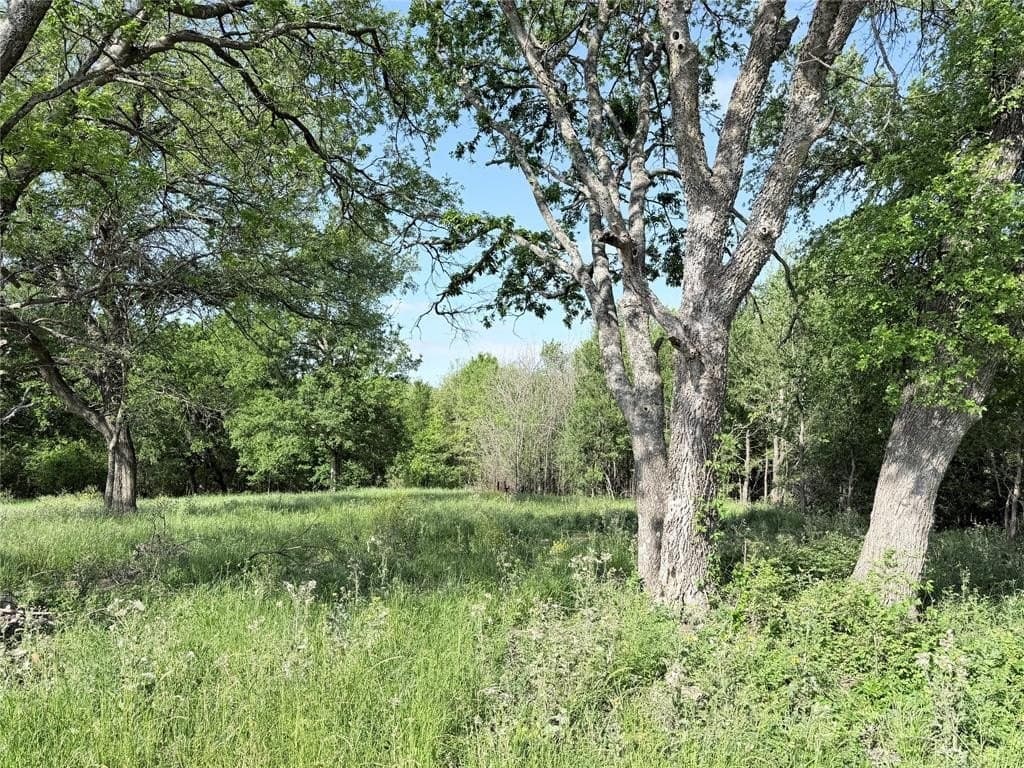 10 acres in Hill County gallery image 4