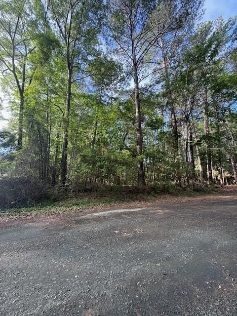 0.28 acres in Texas County - photo 9