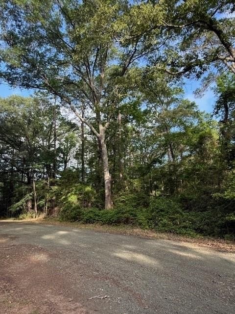 0.28 acres in Texas County - photo 8
