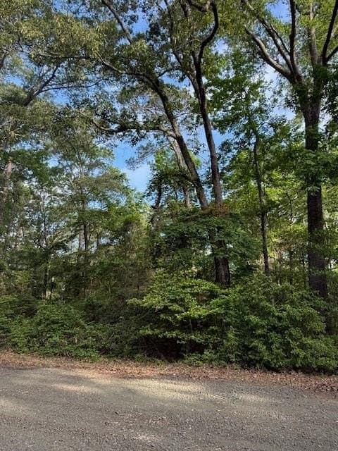 0.28 acres in Texas County - photo 7