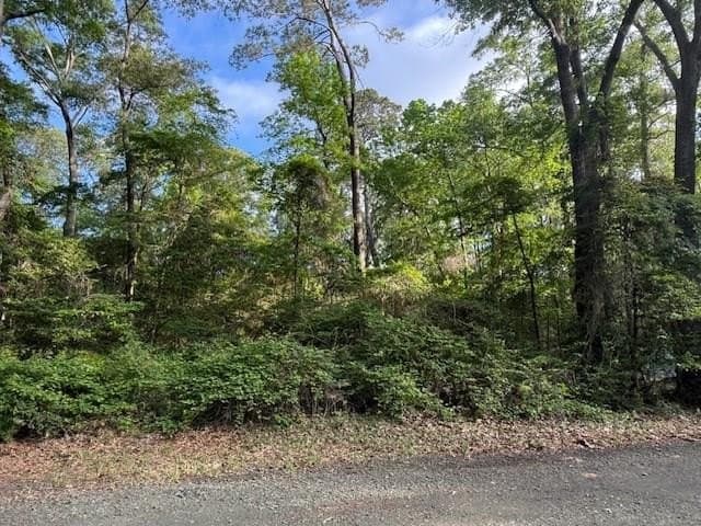 0.28 acres in Texas County - photo 6
