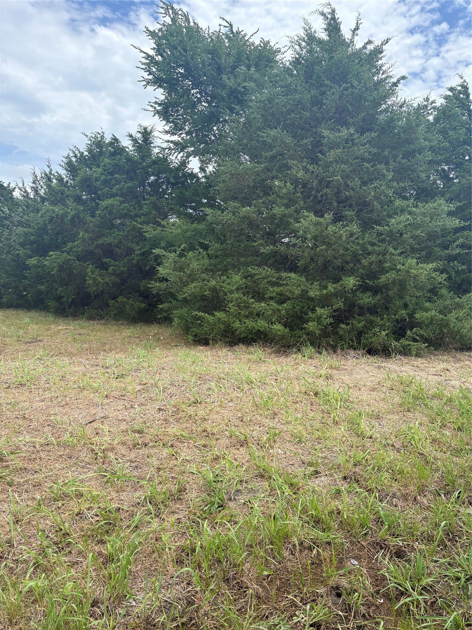 0.82 acres in Hunt County gallery image 3