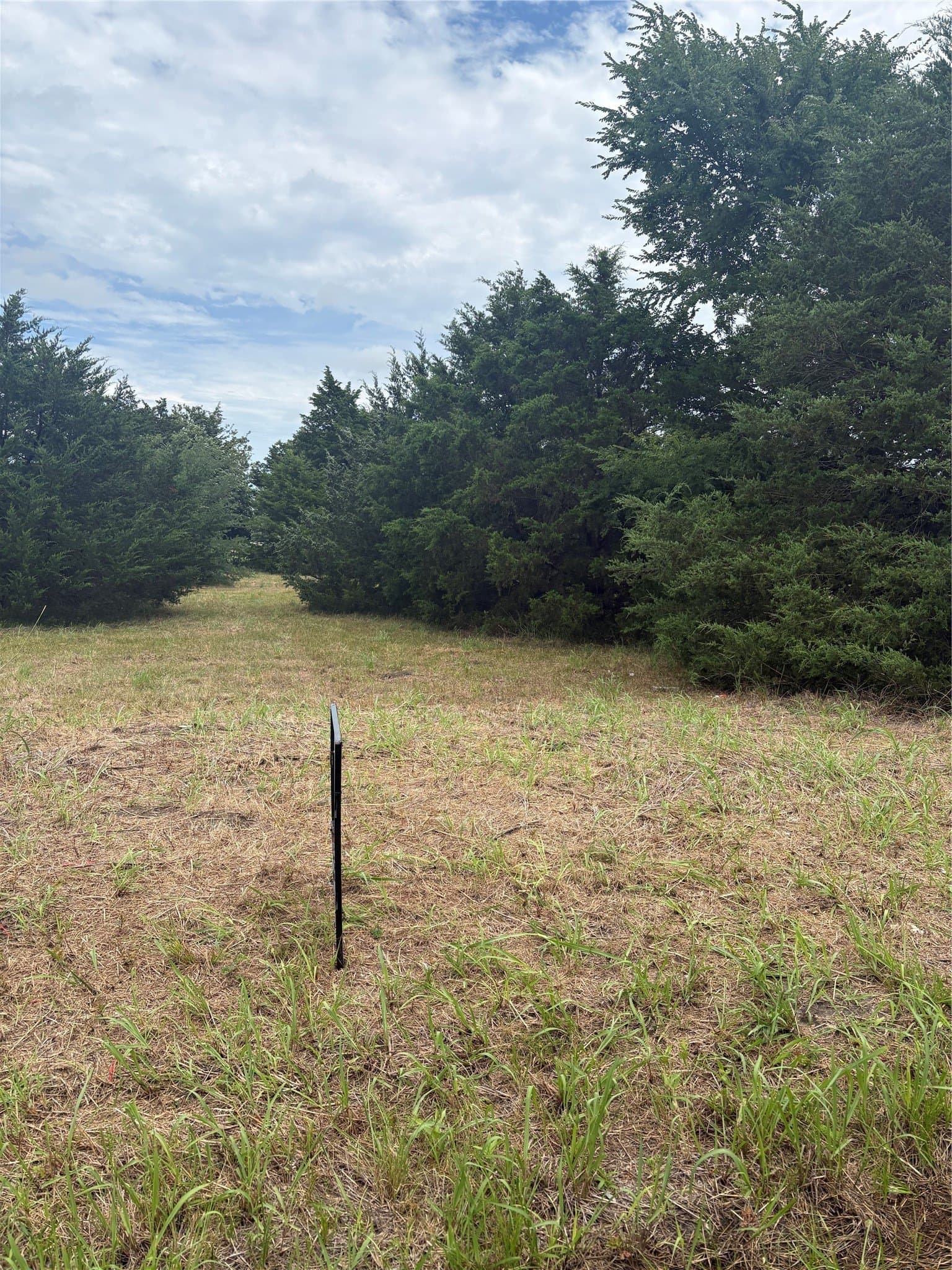 0.82 acres in Hunt County gallery image 2