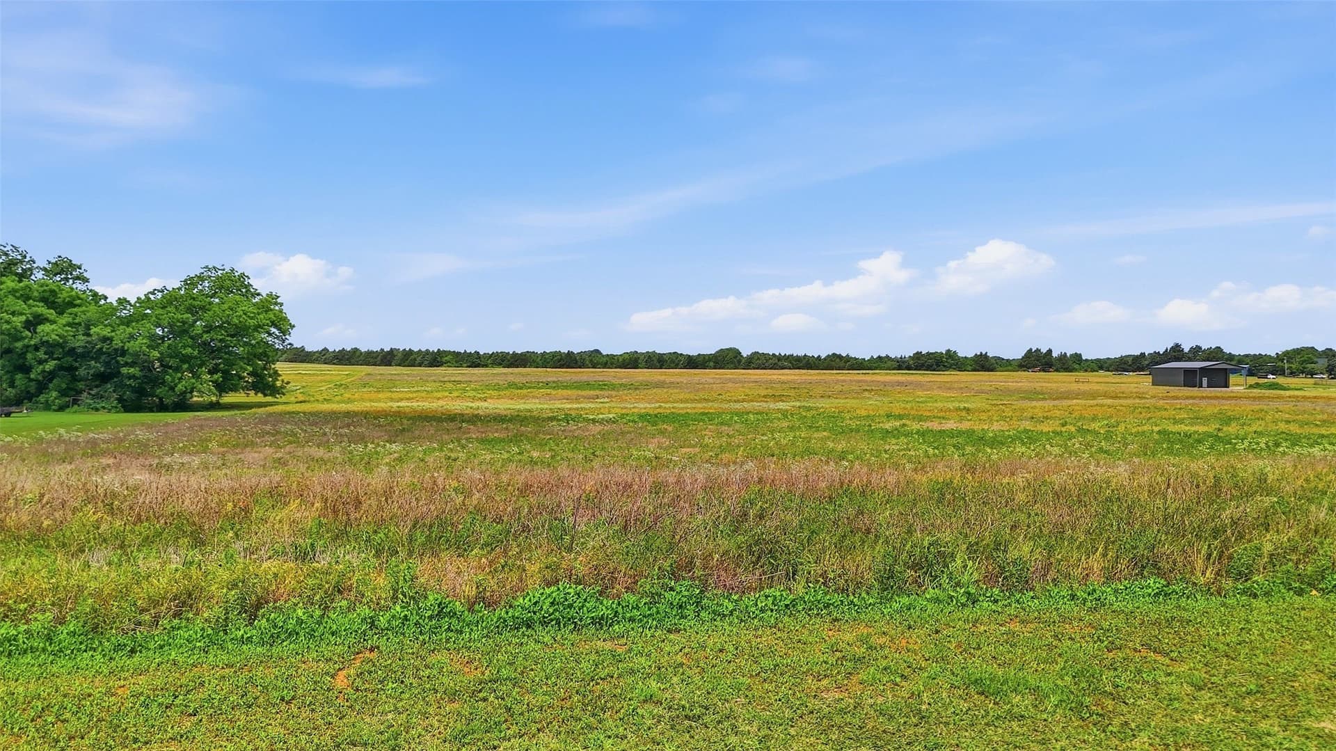30 acres in Grayson County - photo 9