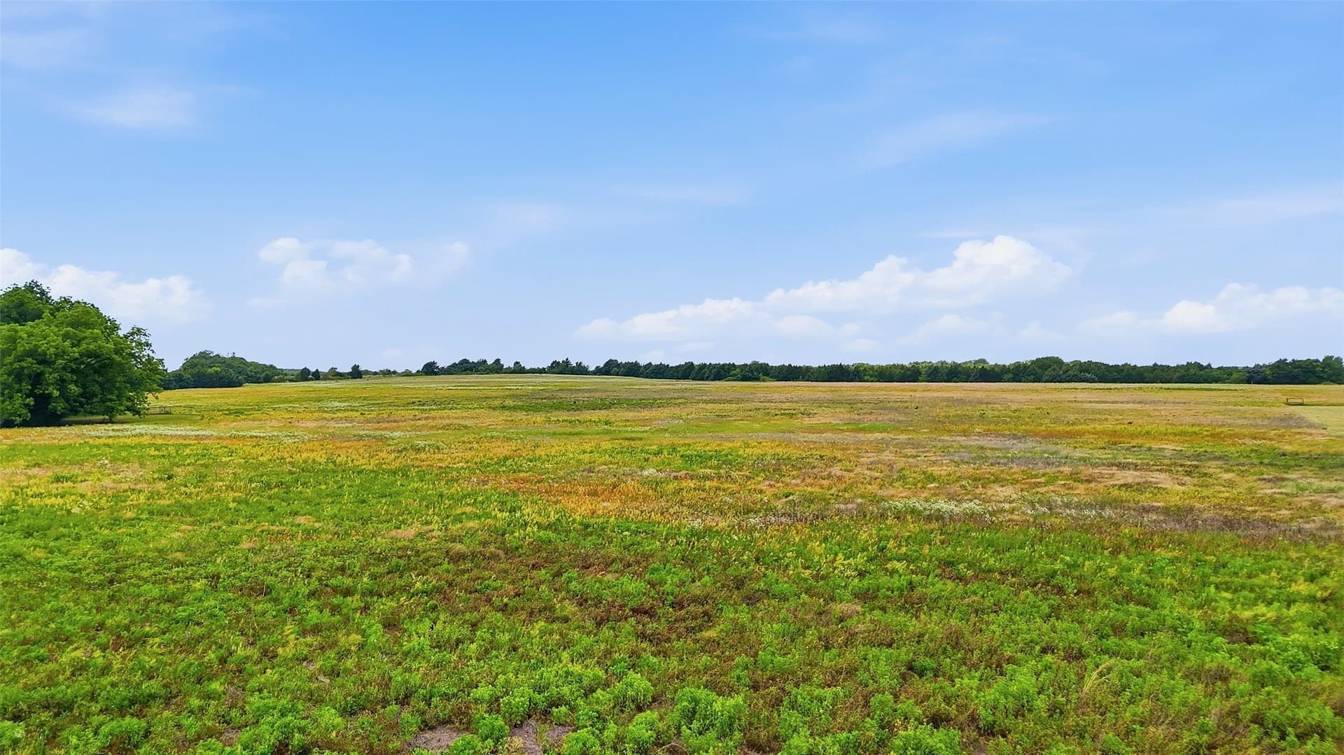 30 acres in Grayson County - photo 23