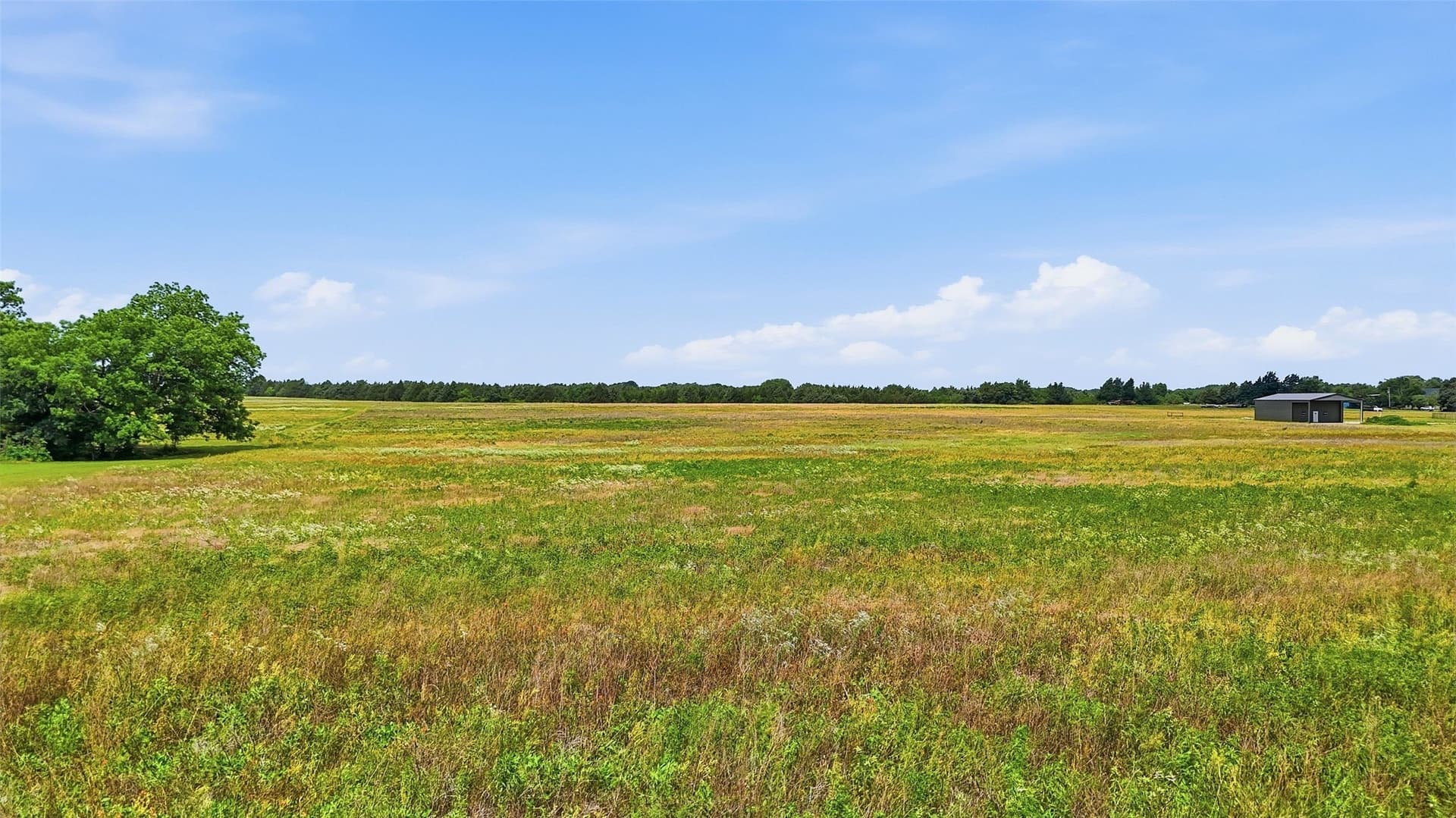 30 acres in Grayson County - photo 10