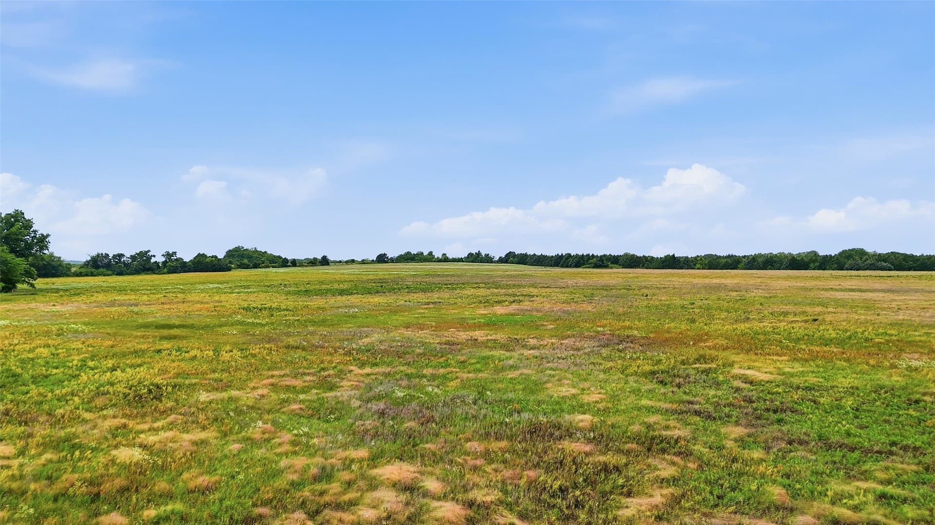 30 acres in Grayson County - photo 4