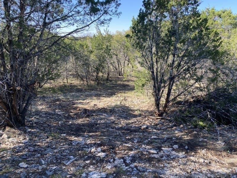 5.48 acres in Uvalde County - photo 24