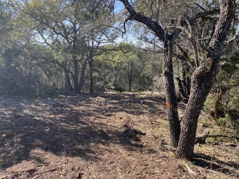 5.48 acres in Uvalde County - photo 13