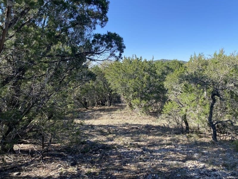 5.48 acres in Uvalde County - photo 19