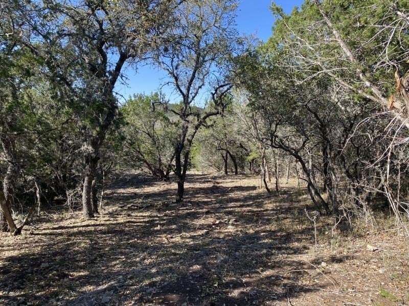 5.48 acres in Uvalde County - photo 22